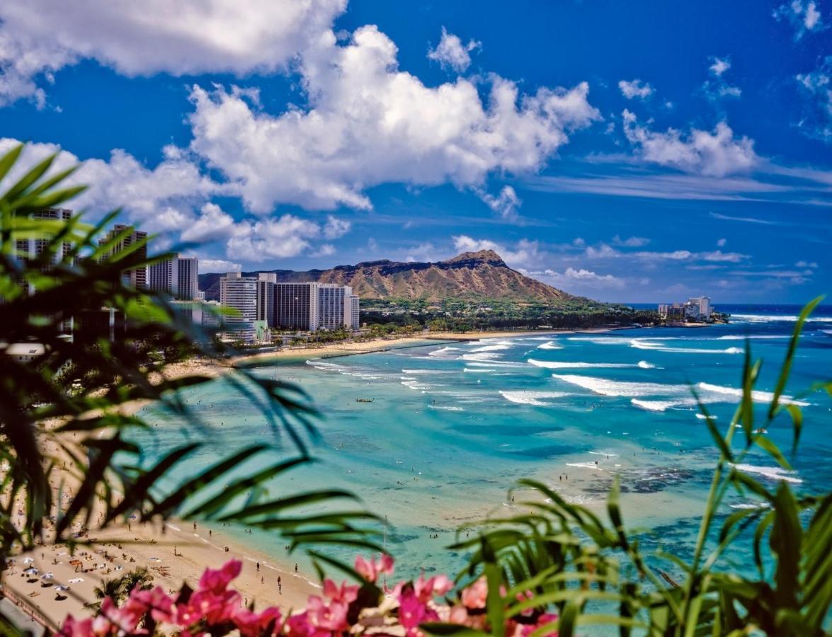 Diamond Head View Close To Waikiki Beach With Parking Honolulu Exteriör bild